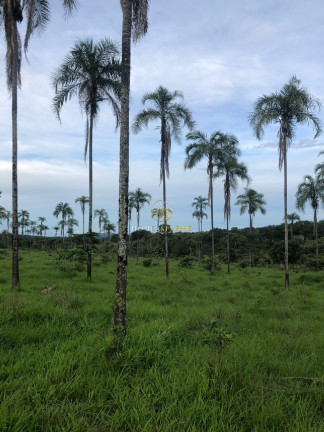 Imagem Imóvel com 3 Quartos à Venda, 45.500 m² em Zona Rural - Minaçu Imagem Imóvel com 3 Quartos à Venda, 45.500 m² em Zona Rural - Minaçu