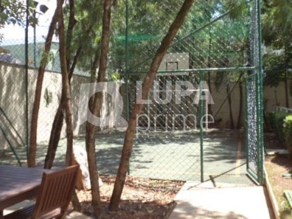 Imagem Apartamento com 3 Quartos à Venda, 106 m² em Lauzane Paulista - São Paulo Imagem Apartamento com 3 Quartos à Venda, 106 m² em Lauzane Paulista - São Paulo