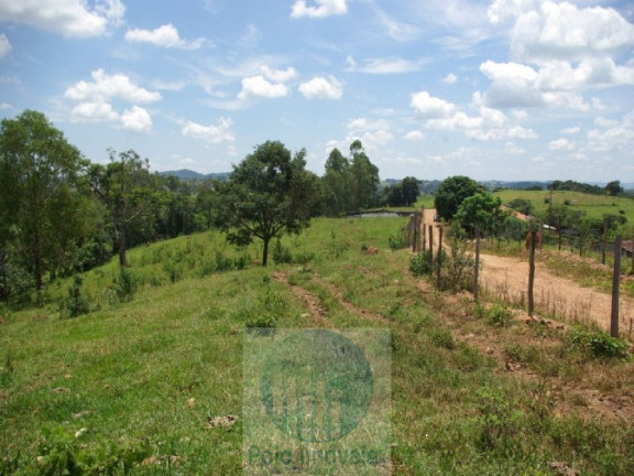 Imagem Imóvel com 4 Quartos à Venda, 1.694.000 m² em Zona Rural - Jacui