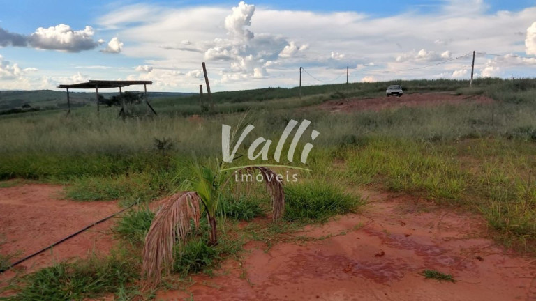 Imagem Imóvel à Venda, 3.500 m² em Olhos D’água - Santa Bárbara Doeste Imagem Imóvel à Venda, 3.500 m² em Olhos D’água - Santa Bárbara Doeste
