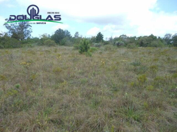 Imagem Imóvel Comercial à Venda, 3.640 m² em Morro Grande - Viamão Imagem Imóvel Comercial à Venda, 3.640 m² em Morro Grande - Viamão