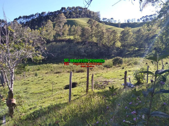 Imagem Chácara com 2 Quartos à Venda, 25.000 m² em Sob Consulta - Virgínia Imagem Chácara com 2 Quartos à Venda, 25.000 m² em Sob Consulta - Virgínia