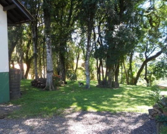 Imagem Casa com 3 Quartos à Venda, 178 m² em Piá - Nova Petrópolis Imagem Casa com 3 Quartos à Venda, 178 m² em Piá - Nova Petrópolis