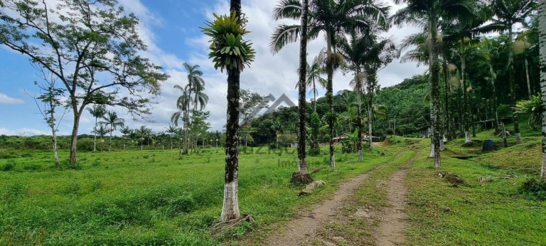 Imagem Chácara com 2 Quartos à Venda, 314 m² em Jardim Aguapeú - Itanhaém