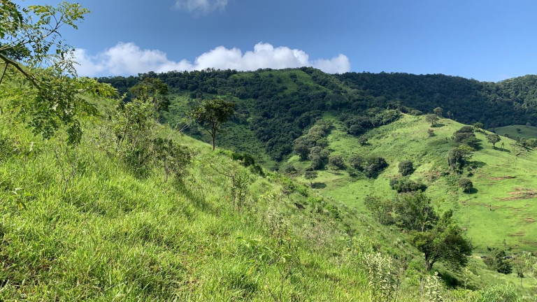 Imagem Imóvel com 1 Quarto à Venda,  em Bairro Rural - Bofete
