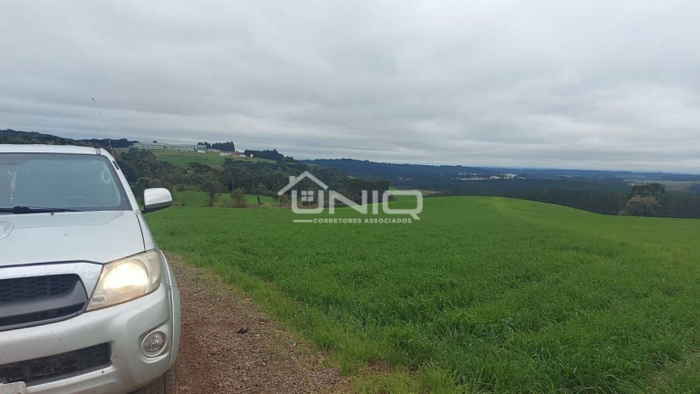 Imagem Fazenda à Venda, em Palmas Imagem Fazenda à Venda, em Palmas