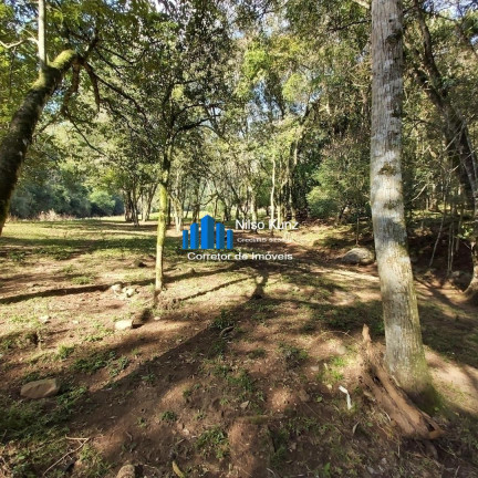 Imagem Chácara à Venda, 120.000 m² em Bento Gonçalves Imagem Chácara à Venda, 120.000 m² em Bento Gonçalves