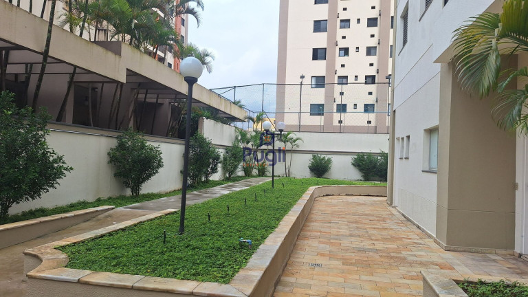 Imagem Apartamento com 3 Quartos à Venda, 65 m² em Vila Indiana - São Paulo Imagem Apartamento com 3 Quartos à Venda, 65 m² em Vila Indiana - São Paulo