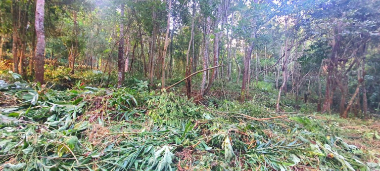 Imagem Imóvel à Venda, 282 m² em Loteamento Bosque Dos Palmares - Atibaia Imagem Imóvel à Venda, 282 m² em Loteamento Bosque Dos Palmares - Atibaia