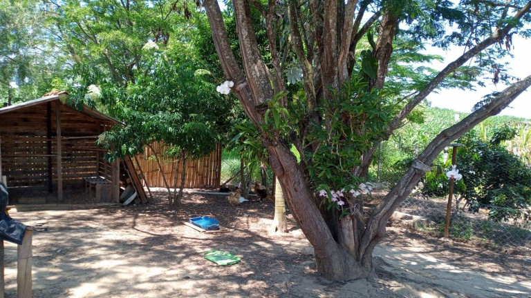 Imagem Chácara com 2 Quartos à Venda, 1.000 m² em Centro - Boituva Imagem Chácara com 2 Quartos à Venda, 1.000 m² em Centro - Boituva