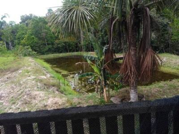 Imagem Chácara com 3 Quartos à Venda, 250 m² em Manaus Imagem Chácara com 3 Quartos à Venda, 250 m² em Manaus