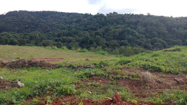 Imagem Terreno à Venda, 9.075 m² em Jardim Belval - Barueri