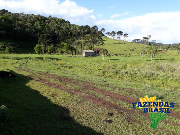 Imagem Imóvel com 1 Quarto à Venda, 100 m² em área Rural De Lages - Ponte Alta Imagem Imóvel com 1 Quarto à Venda, 100 m² em área Rural De Lages - Ponte Alta