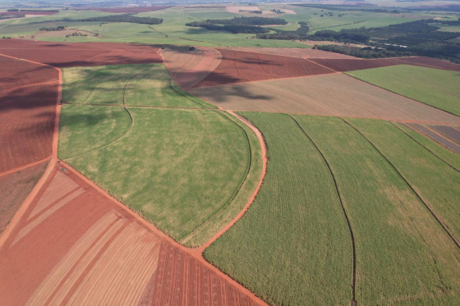 Imagem Fazenda à Venda, 64 m² em Zona Rural - Bariri Imagem Fazenda à Venda, 64 m² em Zona Rural - Bariri