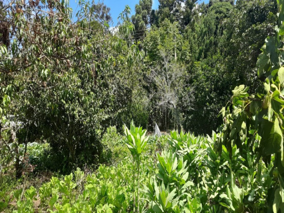 Imagem Terreno à Venda, 1.845 m² em Vila Olinda - Nova Petrópolis Imagem Terreno à Venda, 1.845 m² em Vila Olinda - Nova Petrópolis