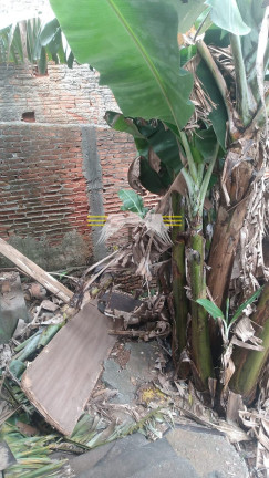 Terreno à Venda, 252 m² em Jardim Vila Formosa - São Paulo