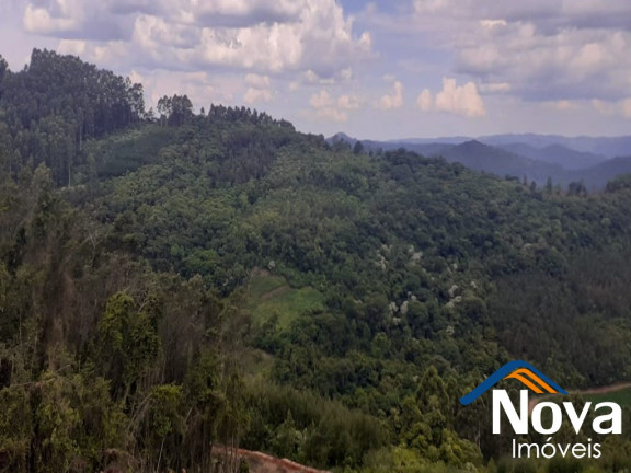 Imagem Imóvel à Venda,  em Linha Olinda - Nova Petrópolis