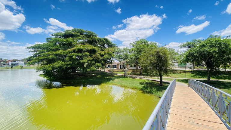 Imagem Terreno à Venda, 720 m² em Papagaio - Feira De Santana Imagem Terreno à Venda, 720 m² em Papagaio - Feira De Santana