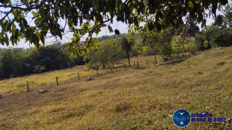 Imagem Chácara à Venda, 20 m² em Zona Rural - Morro Agudo De Goiás Imagem Chácara à Venda, 20 m² em Zona Rural - Morro Agudo De Goiás