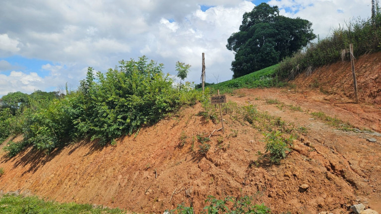 Imagem Fazenda à Venda, em Zona Rural - Araucaria Imagem Fazenda à Venda, em Zona Rural - Araucaria