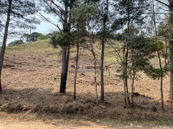Imagem Terreno à Venda, 3 m² em Vale Encantado - Campos Do Jordão Imagem Terreno à Venda, 3 m² em Vale Encantado - Campos Do Jordão