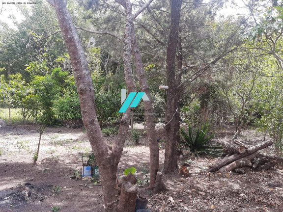 Imagem Fazenda à Venda, 5.000 m² em Zona Rural - Piracema Imagem Fazenda à Venda, 5.000 m² em Zona Rural - Piracema