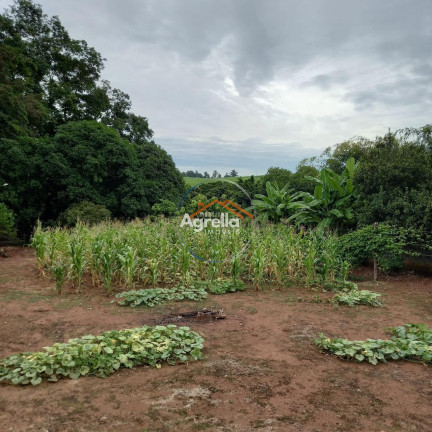 Imagem Imóvel com 2 Quartos à Venda, 11.500 m² em Paraíso Da Cachoeira - Mogi Mirim Imagem Imóvel com 2 Quartos à Venda, 11.500 m² em Paraíso Da Cachoeira - Mogi Mirim