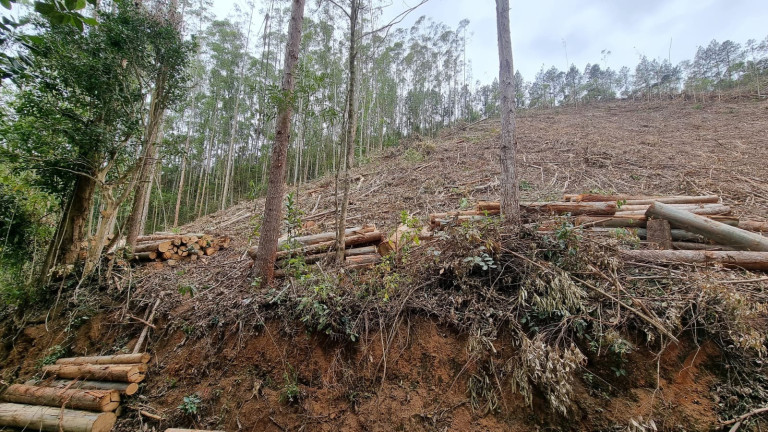 Imagem Imóvel à Venda, 44.000 m² em Alto Nova Almeida - Marechal Floriano Imagem Imóvel à Venda, 44.000 m² em Alto Nova Almeida - Marechal Floriano