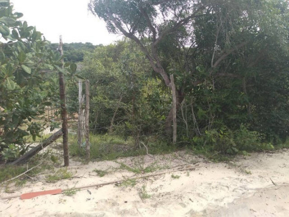 Imagem Terreno à Venda, 5.700 m² em Praia Da Pipa - Tibau Do Sul