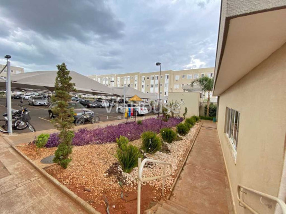 Imagem Apartamento com 2 Quartos à Venda, 43 m² em Jardim Heitor Rigon - Ribeirão Preto Imagem Apartamento com 2 Quartos à Venda, 43 m² em Jardim Heitor Rigon - Ribeirão Preto