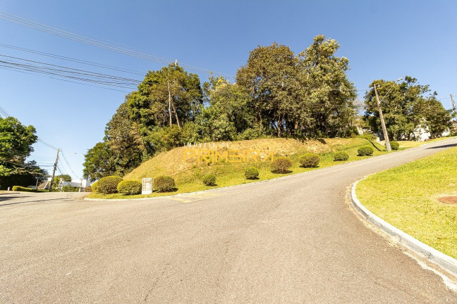 Imagem Terreno à Venda, 1.684 m² em São João - Curitiba Imagem Terreno à Venda, 1.684 m² em São João - Curitiba