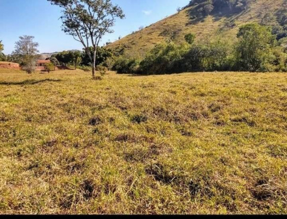 Imagem Chácara à Venda, 25.000 m² em Monte Belo - Taubaté Imagem Chácara à Venda, 25.000 m² em Monte Belo - Taubaté