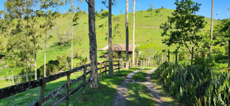 Imagem Chácara com 2 Quartos à Venda, 200 m² em Cedro - Paraibuna Imagem Chácara com 2 Quartos à Venda, 200 m² em Cedro - Paraibuna