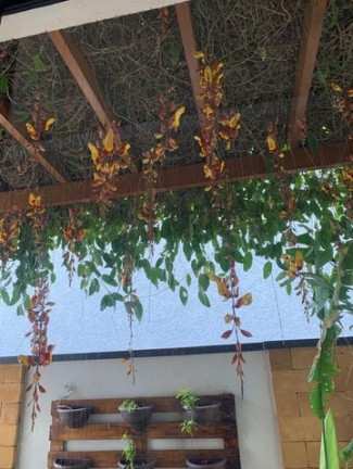 Imagem Casa com 4 Quartos à Venda, 255 m² em Condomínio Residencial Fogaça - Jacareí