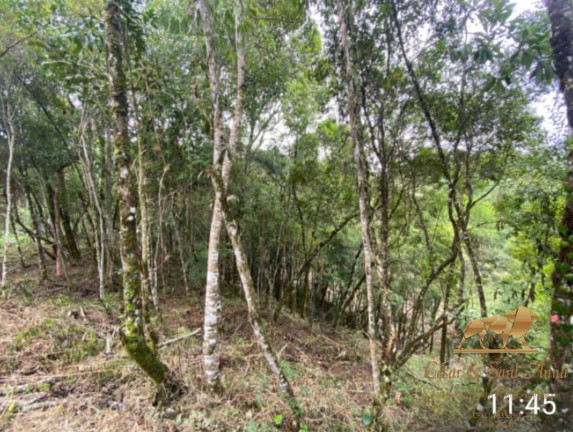 Imagem Terreno à Venda, 1.490 m² em Alataia - Campos Do Jordão Imagem Terreno à Venda, 1.490 m² em Alataia - Campos Do Jordão