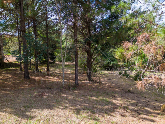 Imagem Terreno à Venda, 21.000 m² em Chácaras Alpina - Valinhos