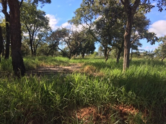 Imagem Terreno à Venda, 500 m² em Jardim Mary - Bauru Imagem Terreno à Venda, 500 m² em Jardim Mary - Bauru