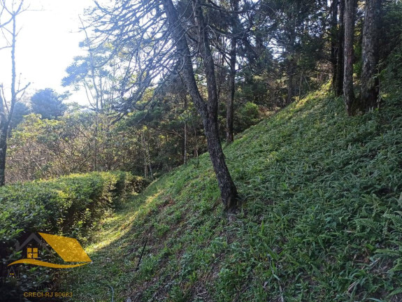 Imagem Chácara com 3 Quartos à Venda, 150 m² em Theodoro De Oliveira - Nova Friburgo