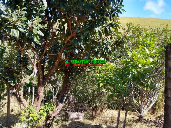 Imagem Chácara à Venda, 1.800 m² em Paraibuna
