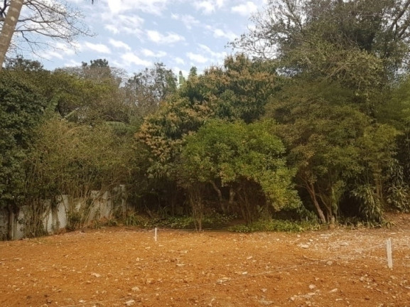 Imagem Terreno em Condomínio à Venda, em Bosque Do Vianna - Cotia Imagem Terreno em Condomínio à Venda, em Bosque Do Vianna - Cotia