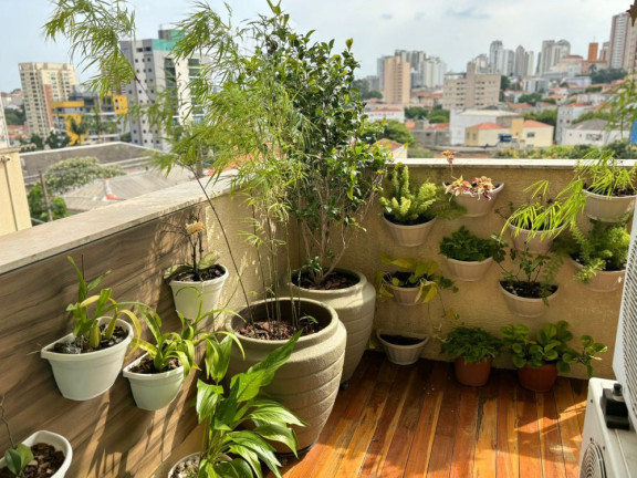 Imagem Apartamento com 3 Quartos à Venda, 141 m² em Jardim São Paulo(zona Norte) - São Paulo