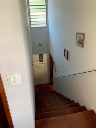 Imagem Casa com 4 Quartos à Venda, 450 m² em Butantã - São Paulo