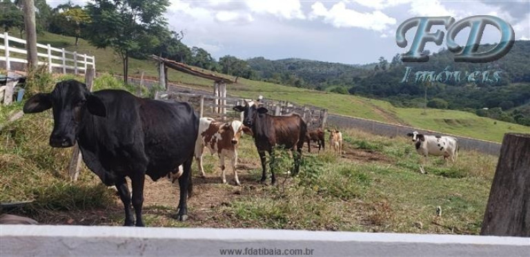 Imagem Chácara com 5 Quartos à Venda, 54.000 m² em área Rural De Perdões - Bom Jesus Dos Perdões Imagem Chácara com 5 Quartos à Venda, 54.000 m² em área Rural De Perdões - Bom Jesus Dos Perdões