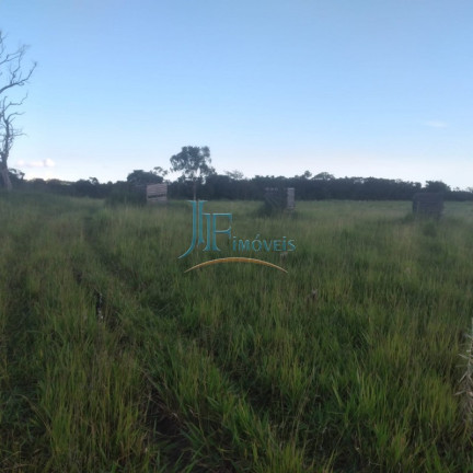 Imagem Imóvel com 4 Quartos à Venda, 105.000 m² em Centro - Cajuru