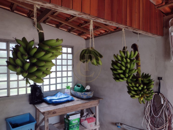 Imagem Chácara com 5 Quartos à Venda, 500 m² em Bairro Da Grama - Paraibuna Imagem Chácara com 5 Quartos à Venda, 500 m² em Bairro Da Grama - Paraibuna