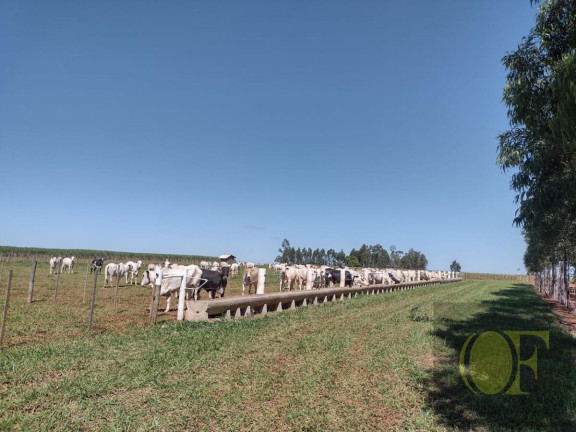 Imagem Chácara à Venda, 28 m² em Rural - águas De Santa Bárbara Imagem Chácara à Venda, 28 m² em Rural - águas De Santa Bárbara