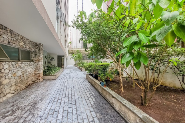 Imagem Apartamento com 3 Quartos à Venda, 228 m² em Higienópolis - São Paulo Imagem Apartamento com 3 Quartos à Venda, 228 m² em Higienópolis - São Paulo