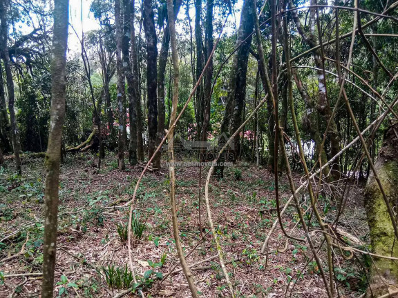 Imagem Terreno à Venda, 1 m² em Nova Capivari - Campos Do Jordão Imagem Terreno à Venda, 1 m² em Nova Capivari - Campos Do Jordão