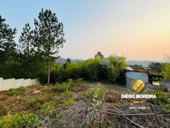 Imagem Chácara com 3 Quartos à Venda, 116 m² em Terra Preta - Mairiporã Imagem Chácara com 3 Quartos à Venda, 116 m² em Terra Preta - Mairiporã