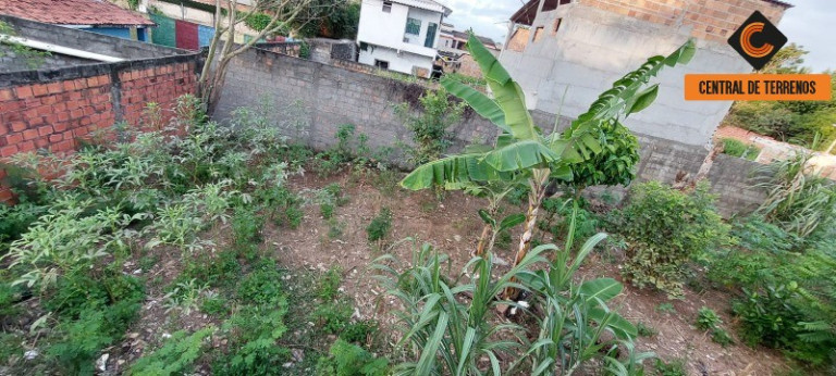 Imagem Terreno à Venda, 400 m² em Vila De Abrantes - Camaçari Imagem Terreno à Venda, 400 m² em Vila De Abrantes - Camaçari